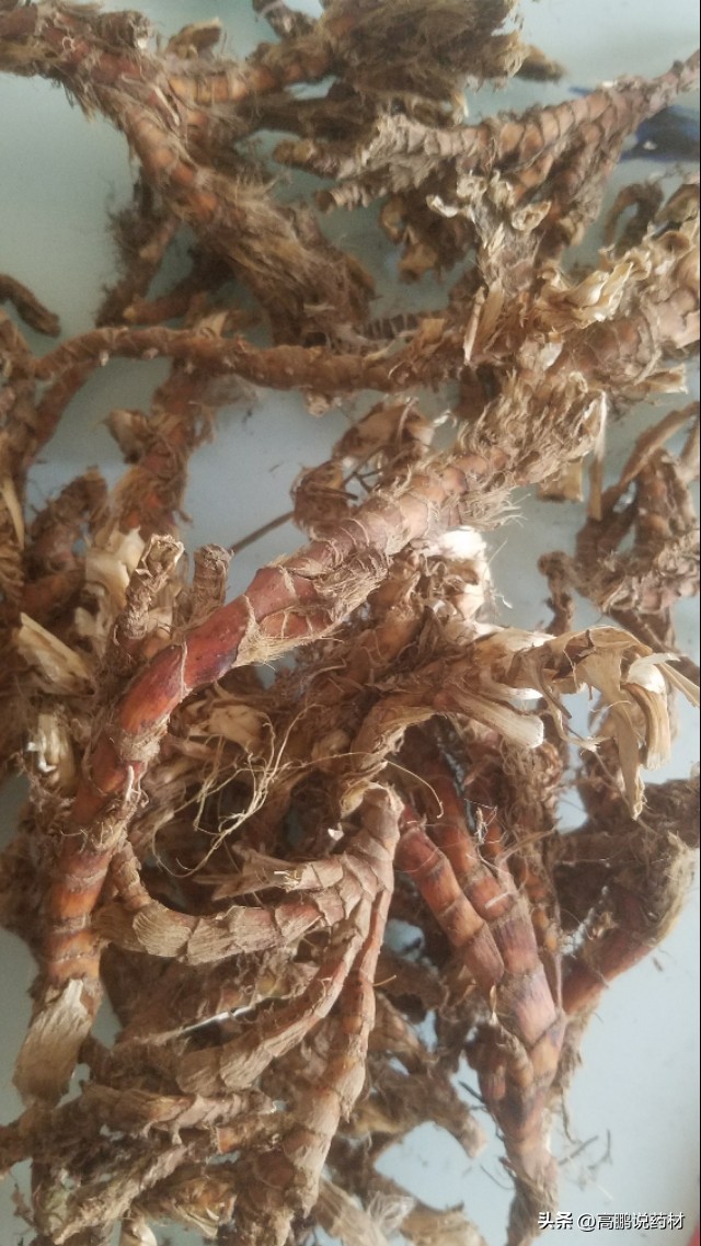 高鹏中药材最新消息,石菖蒲的市场预测