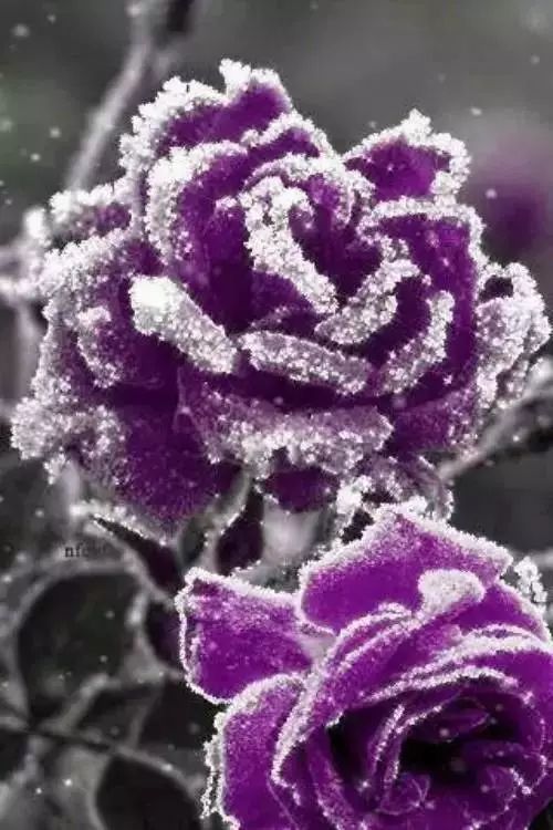 人生在世的经典美文,人生在世最美的美文