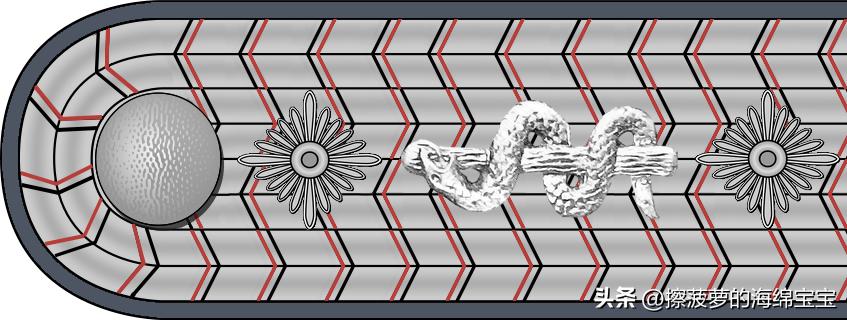 二战德国国防军医疗兵军衔标志