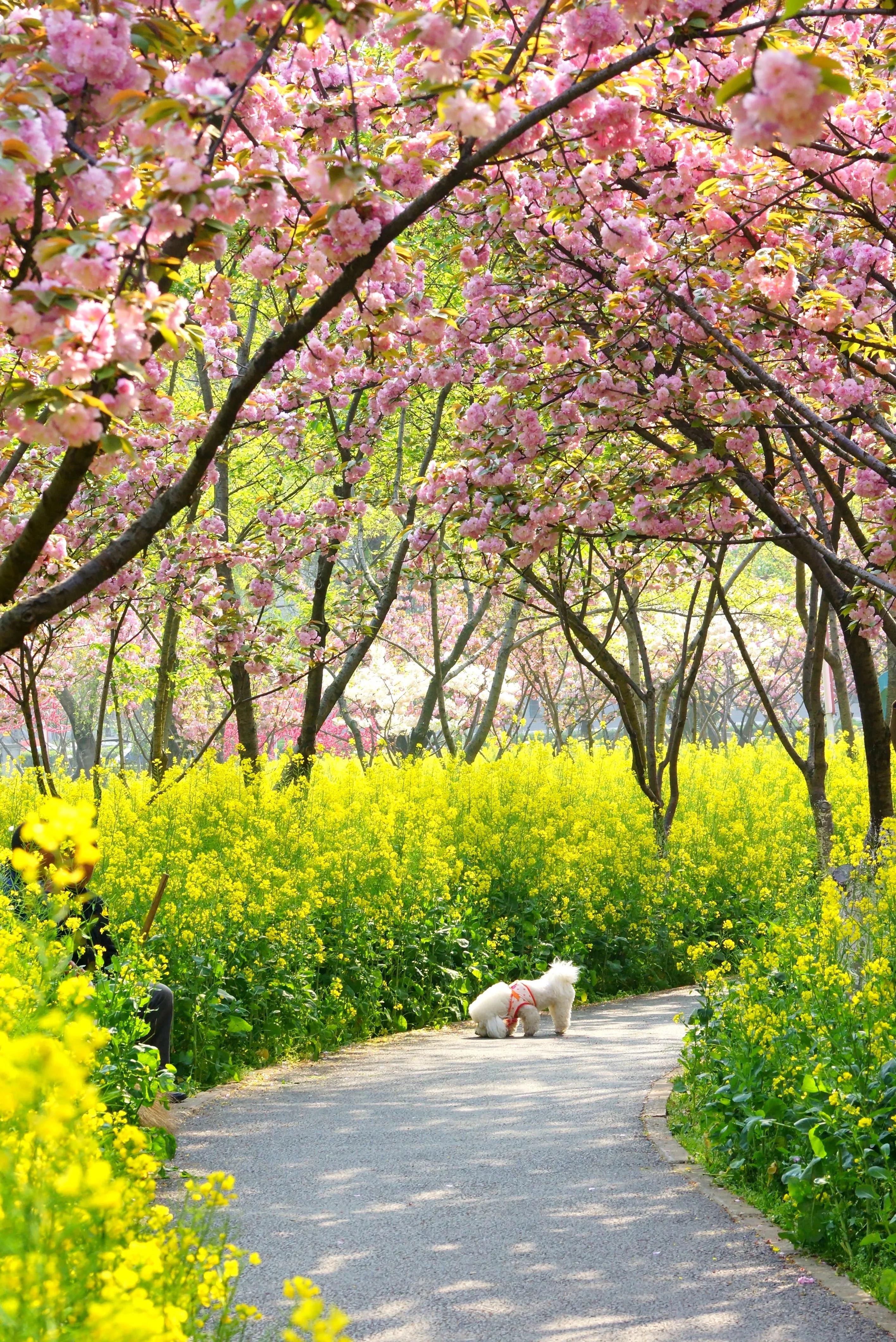 静等春暖花开抒情散文,春暖花开散文名家名作