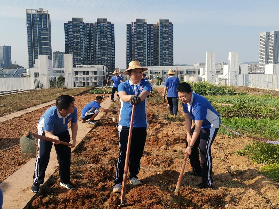 深圳市光明区民办高级中学,深圳光明高级中学体育场