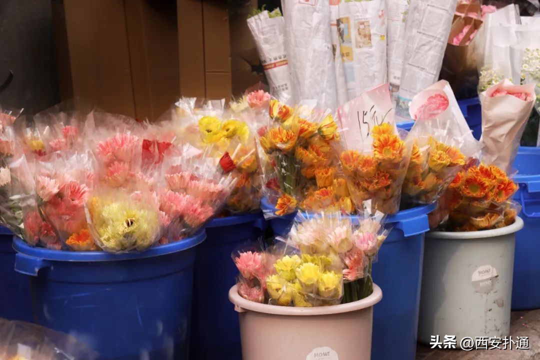 西安情人节去哪比较好,西安买花攻略