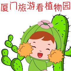 仙人掌花开的如此绚烂,仙人掌开花代表什么