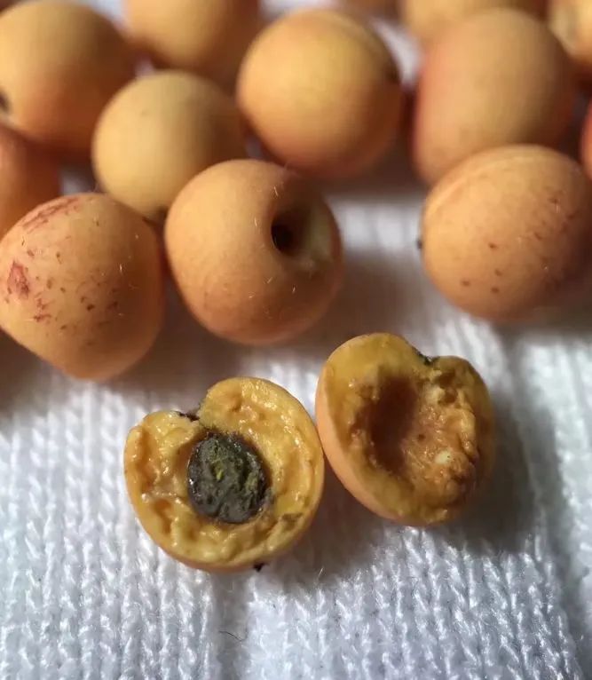 90后妈妈因造假走红,网红辣妈骗局