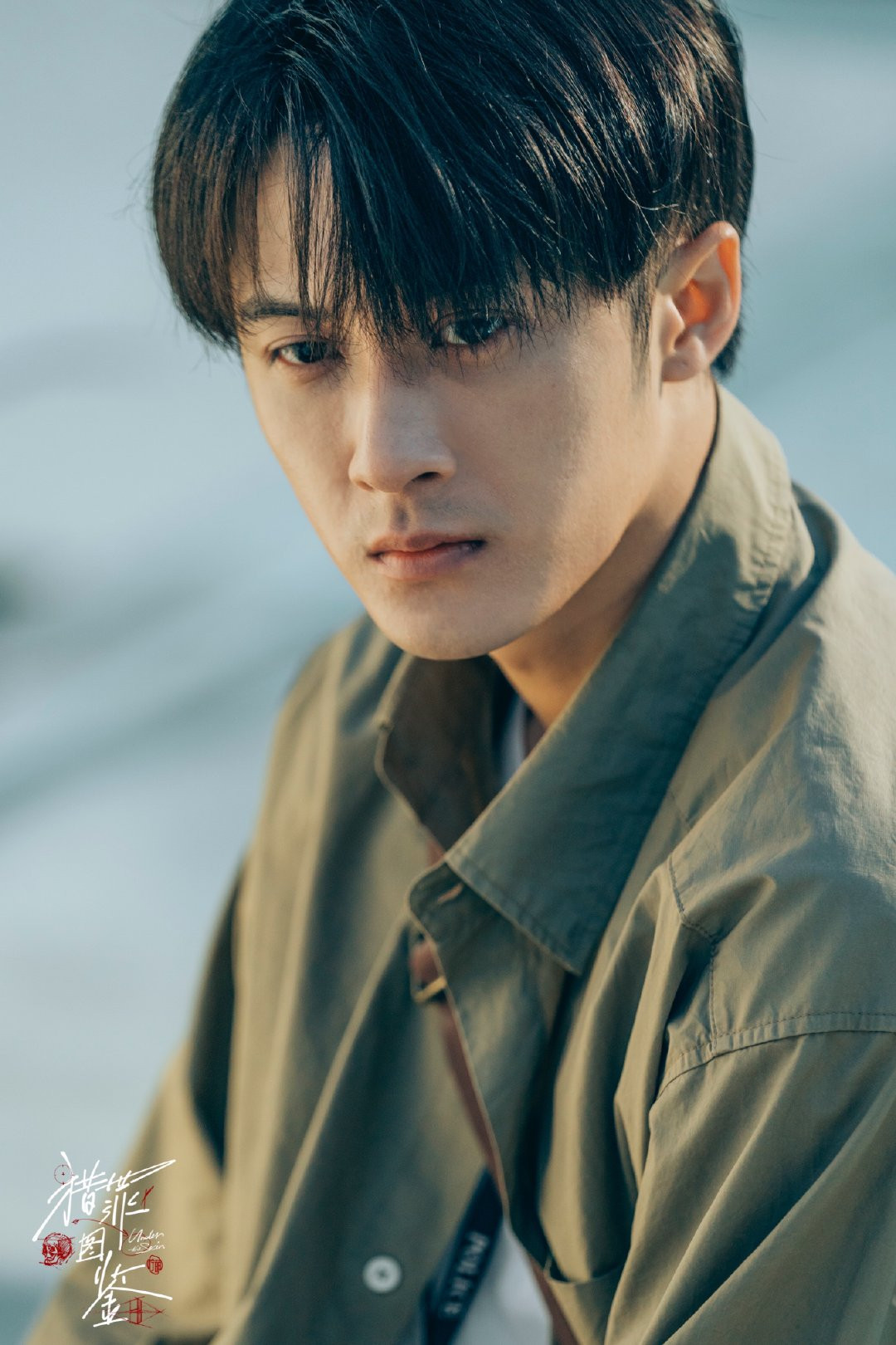 电影赵丽颖被欺负片段原型,赵丽颖陆贞传奇原型