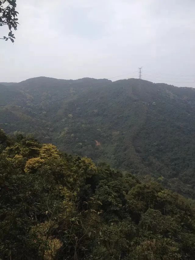 真正的成功诀窍,智者的成功之道