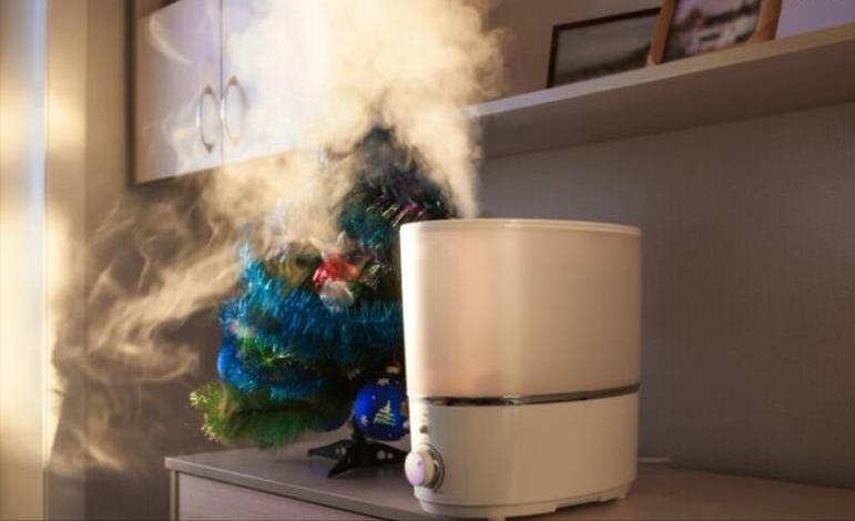 韩国加湿器杀人事件实际情况调查,韩国加湿器事件死了多少人