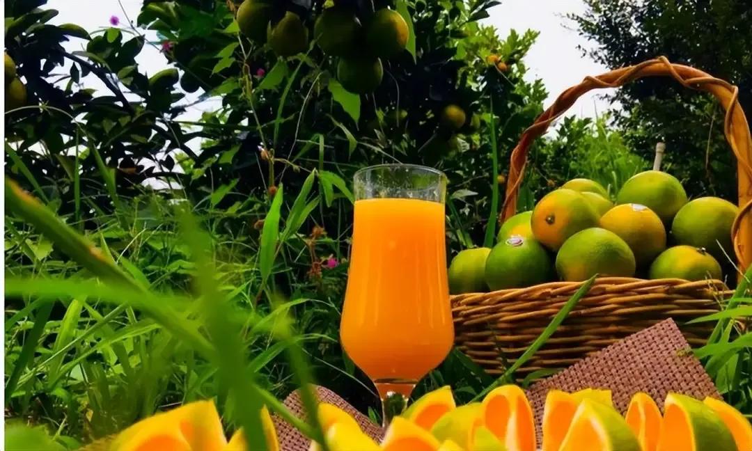 别再瞎操心了，王石与田朴珺这对“父女恋”早已活成了命运共同体