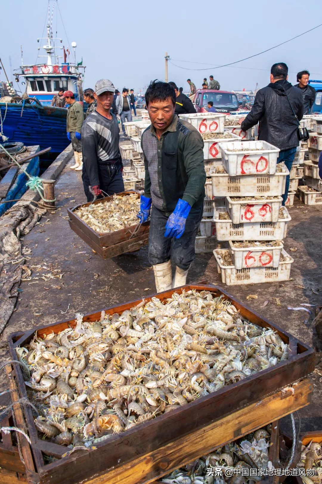 辽宁哪个地方的海鲜最好,辽宁各市都有啥海鲜