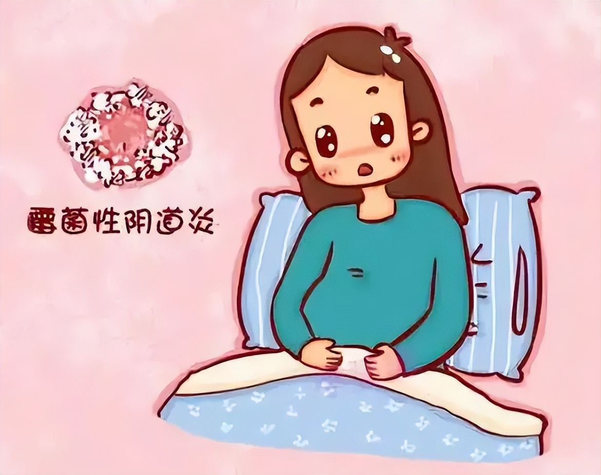 这些不起眼的小虫子一定不要惹,很常见很危险的小虫子