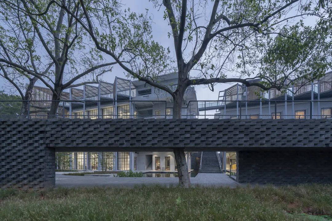 中国茶申遗成功吗,中国茶申遗成功44项名单