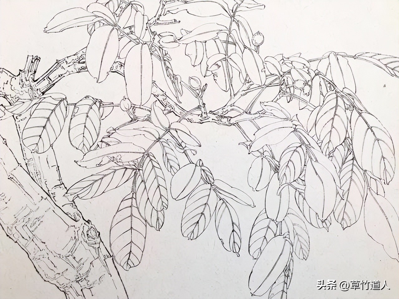 绘画艺术形象及其审美意义,中国绘画的审美特点4字