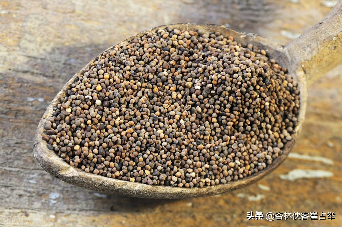 四味中药强腰护肾,健脾除寒湿壮腰补肝肾的中成药