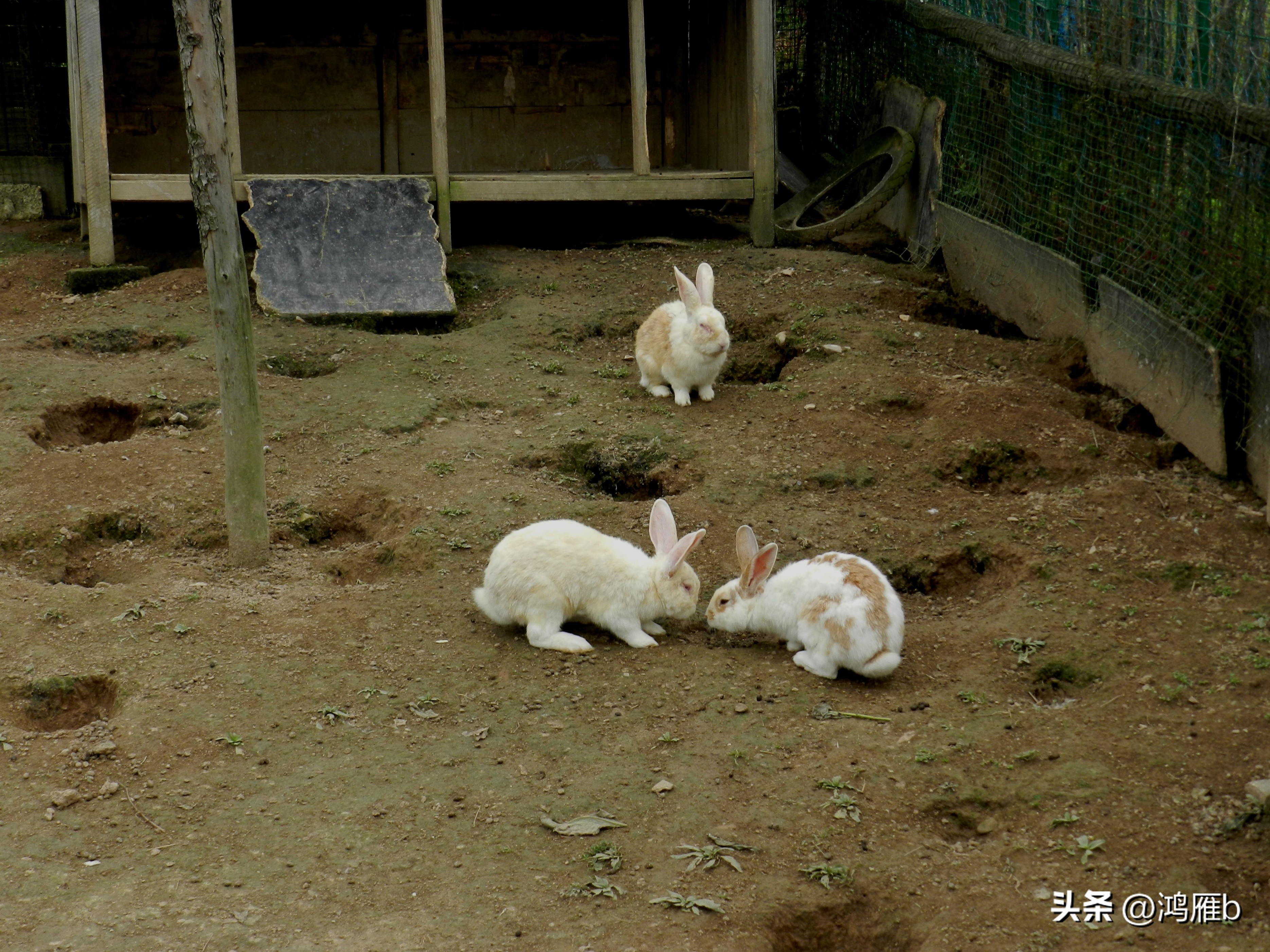 本溪温泉汤沟门票价格,本溪花溪沐枫雪温泉小镇