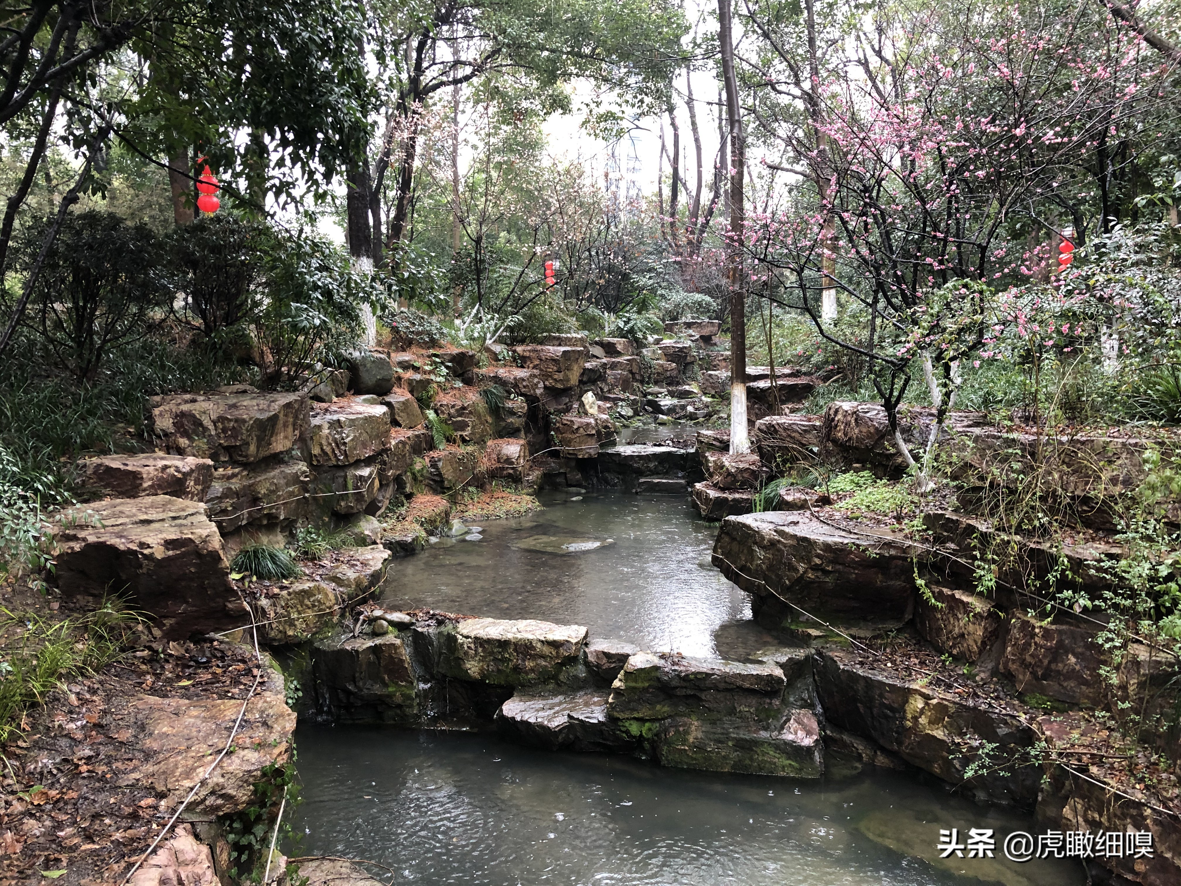 临平水景公园秋天,临平公园当地知名度最高的公园