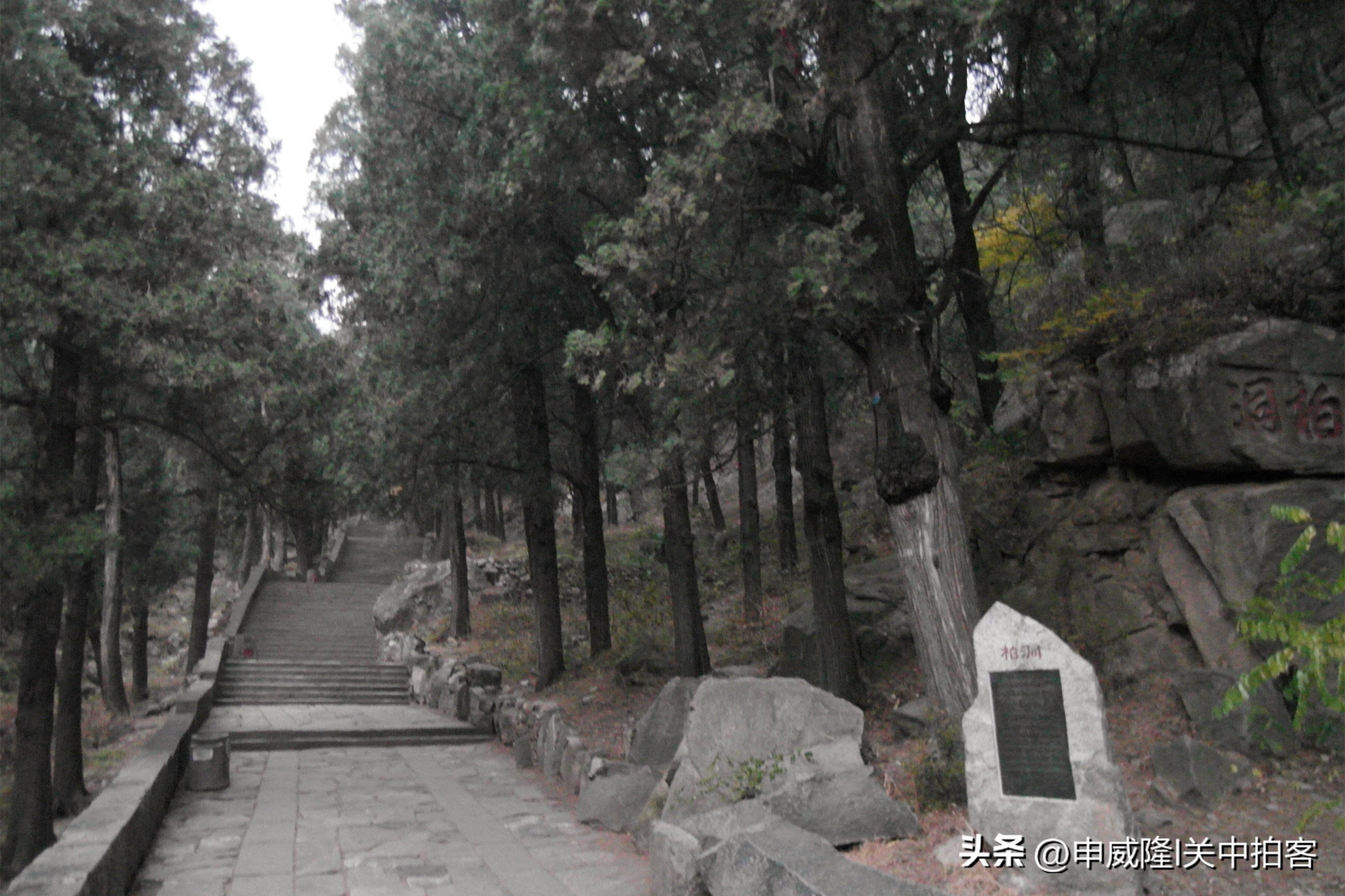 登泰山玉皇顶风景,登泰山顶看美景