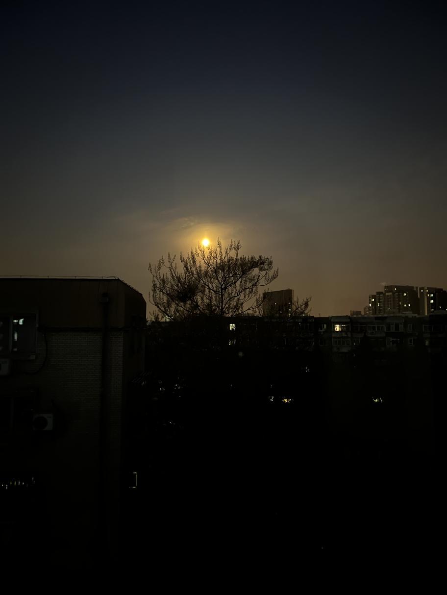 人为什么喜欢怀念从前,人为啥总喜欢怀念过去