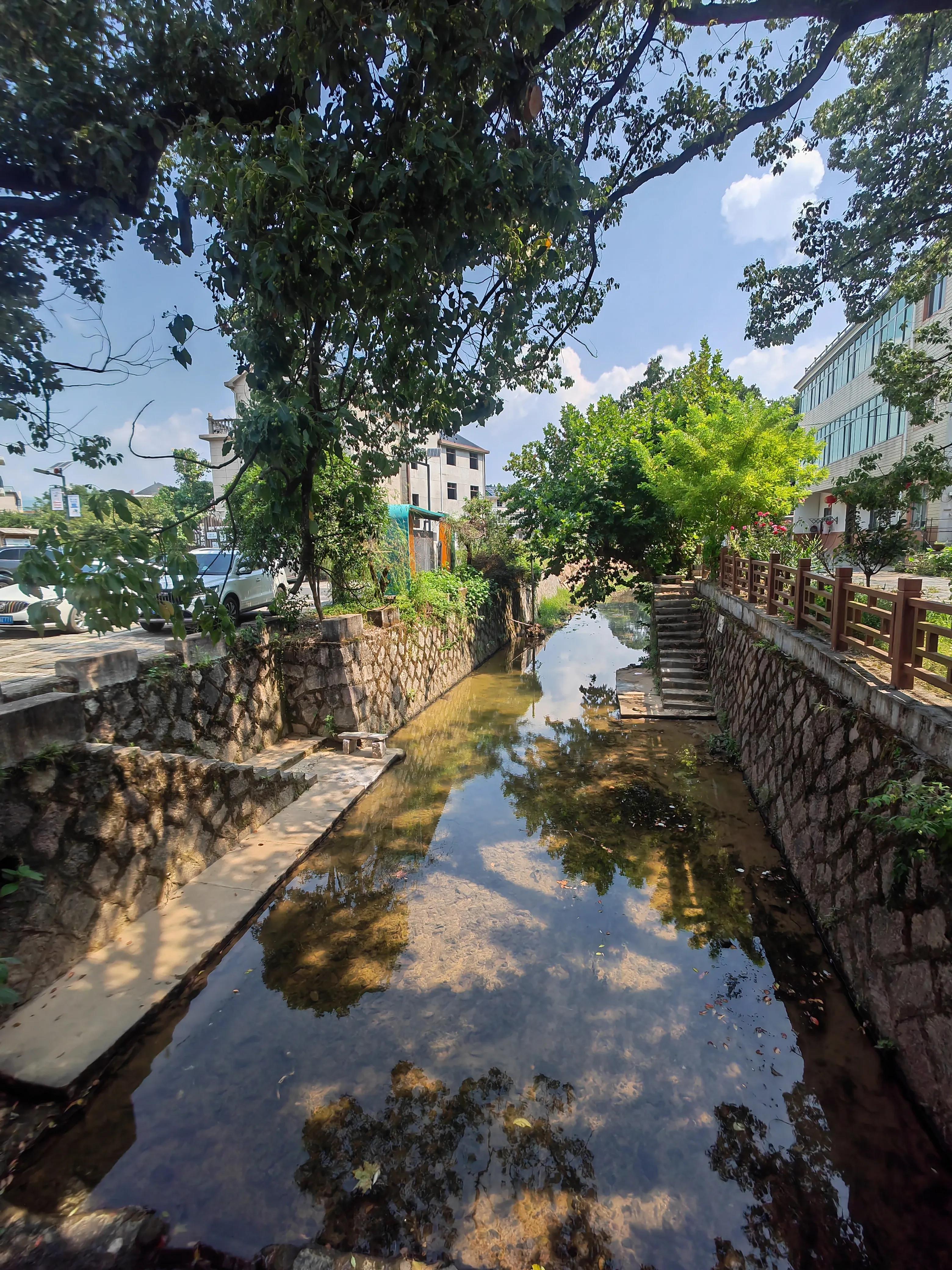 衢州画家余东村,余东村农民画