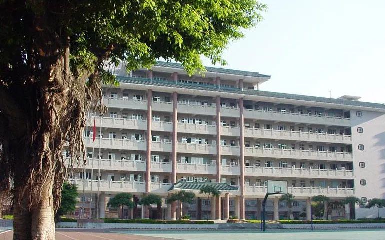 中国女足的历史故事,中国女足发展史