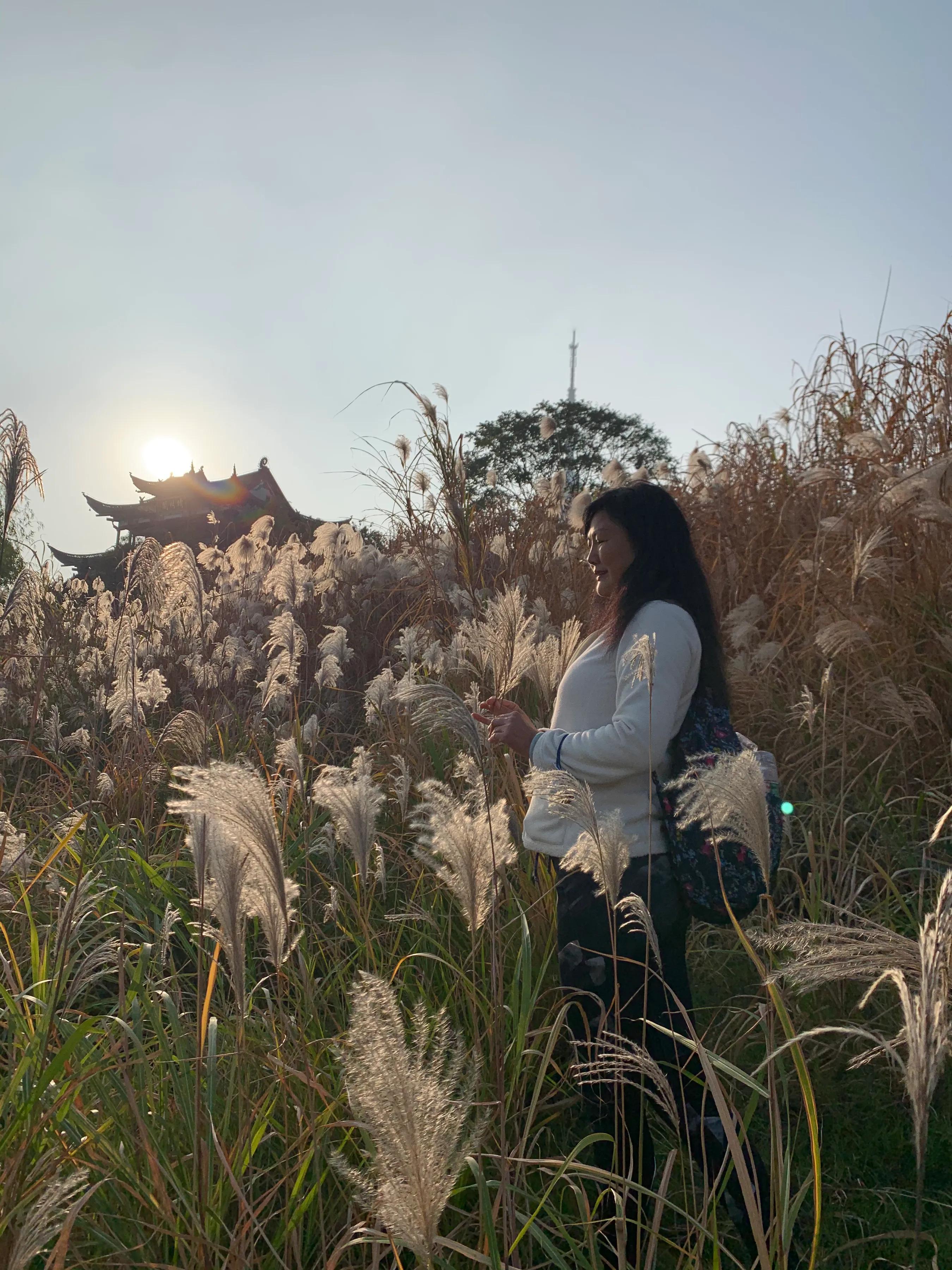 游记108,游记11集