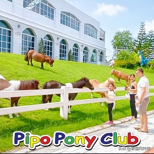 泰国芭提雅旅游景点大全,泰国芭提雅最新游玩