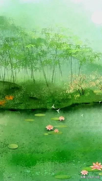 最美的手机壁纸大全,养眼养心的壁纸