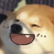 年轻人眼中的沃尔沃,选择沃尔沃就选择了安全