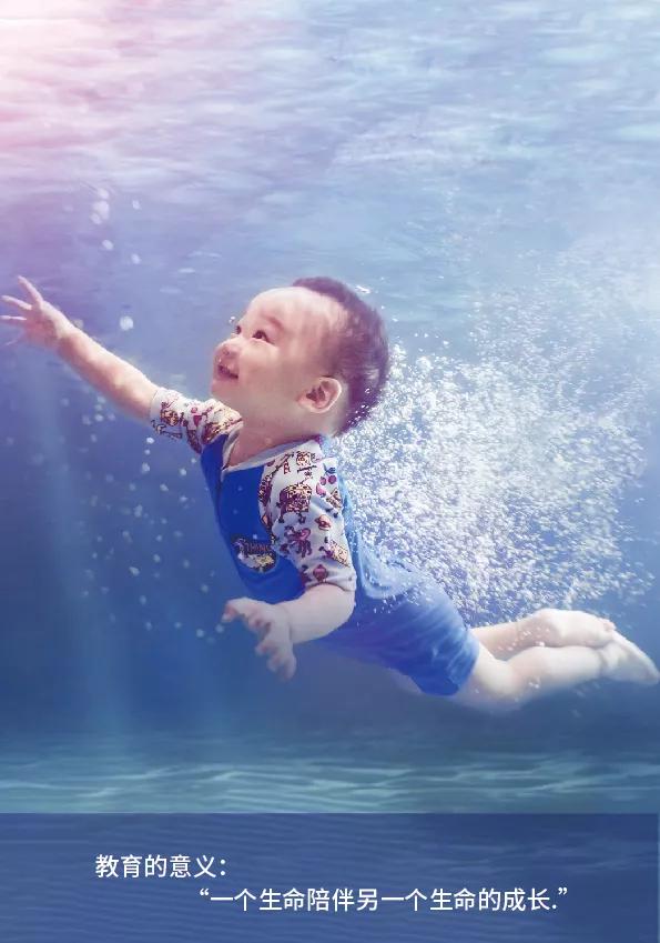 这些成功人士为什么最终都选择加盟沫奇?