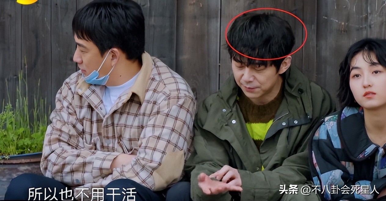 郑少秋沙溢周杰伦,郑少秋摘假发