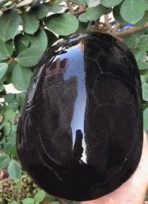 涔濅釜鍔ㄤ綔濮垮娍鎽嗘媿,涔濅釜鎵嬪娍鍔ㄤ綔