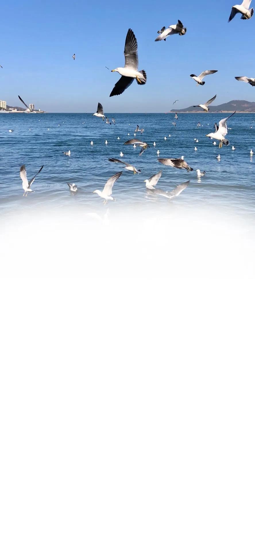 超好看的聊天背景图带文字,老公专用聊天背景图