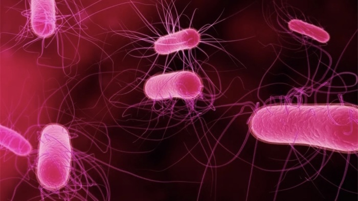 一个单身女人的婚前疑惑,一位单身女性的疑惑