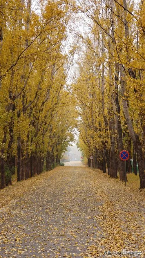 一天学一个成语一年级,一天学一个二字古词