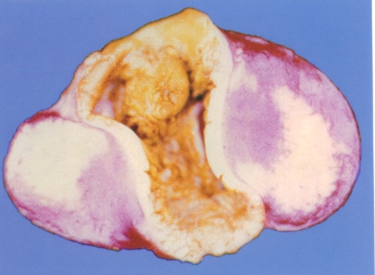 畜禽维生素缺乏的原因,养鸡微量元素缺乏的症状