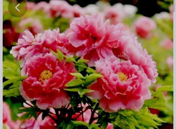 一等功老兵隐姓埋名36年采访,一等功退伍老兵慰问战士