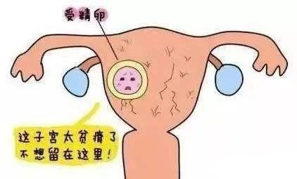 如果想要好孕需要注意哪些细节呢,想要好孕这些问题千万得注意