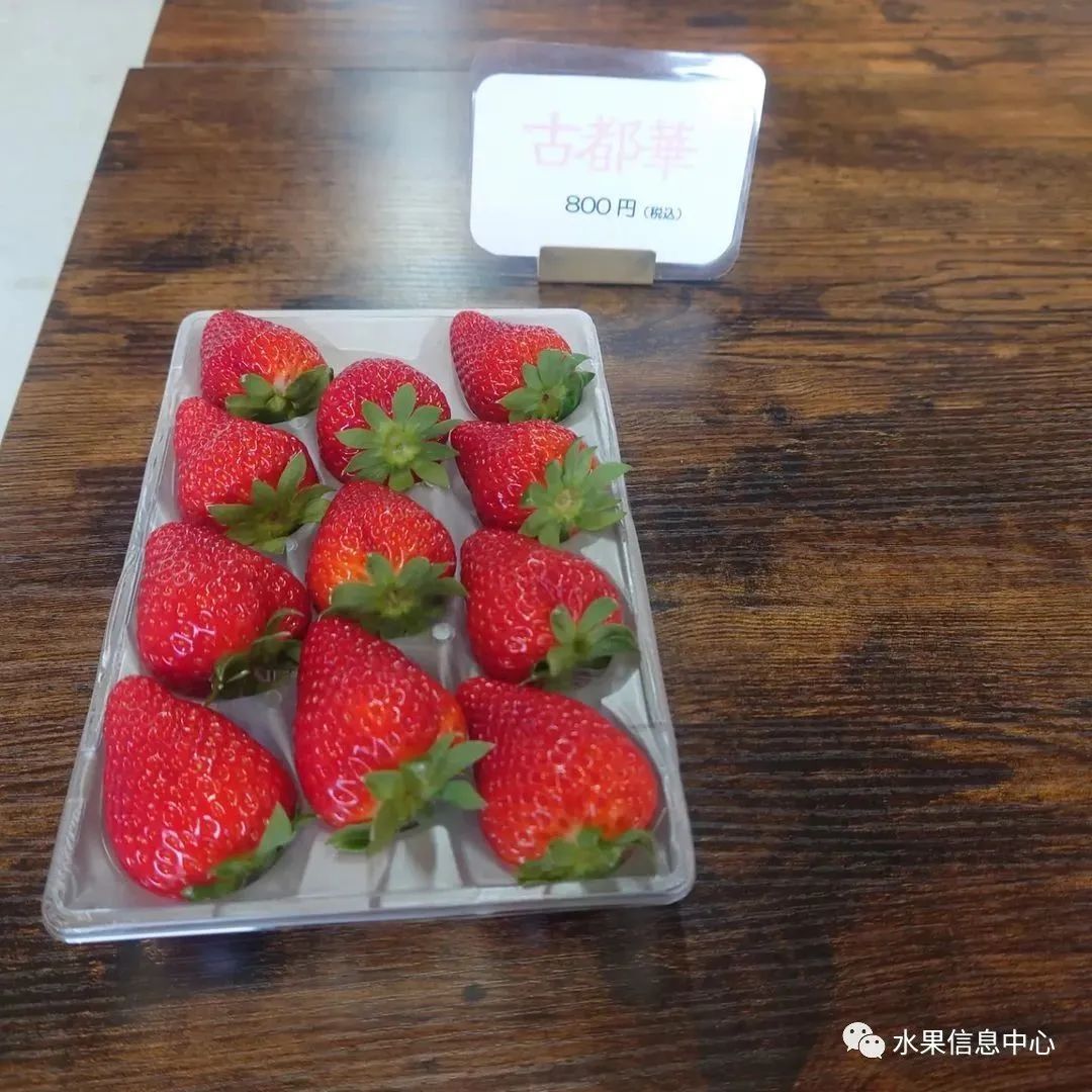 日本草莓评选大赛,排名第一的草莓品种是什么?