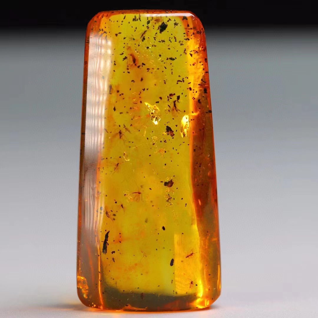 如果有机会,我想去波罗的海捞琥珀,那可是论克卖的