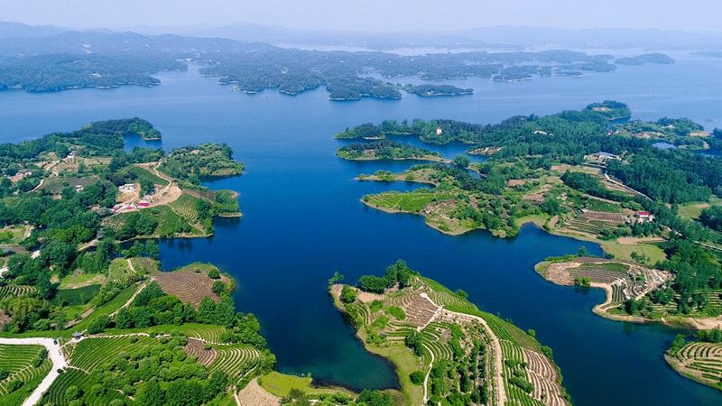 信阳人说话为什么不像河南人,最不像河南人的信阳人