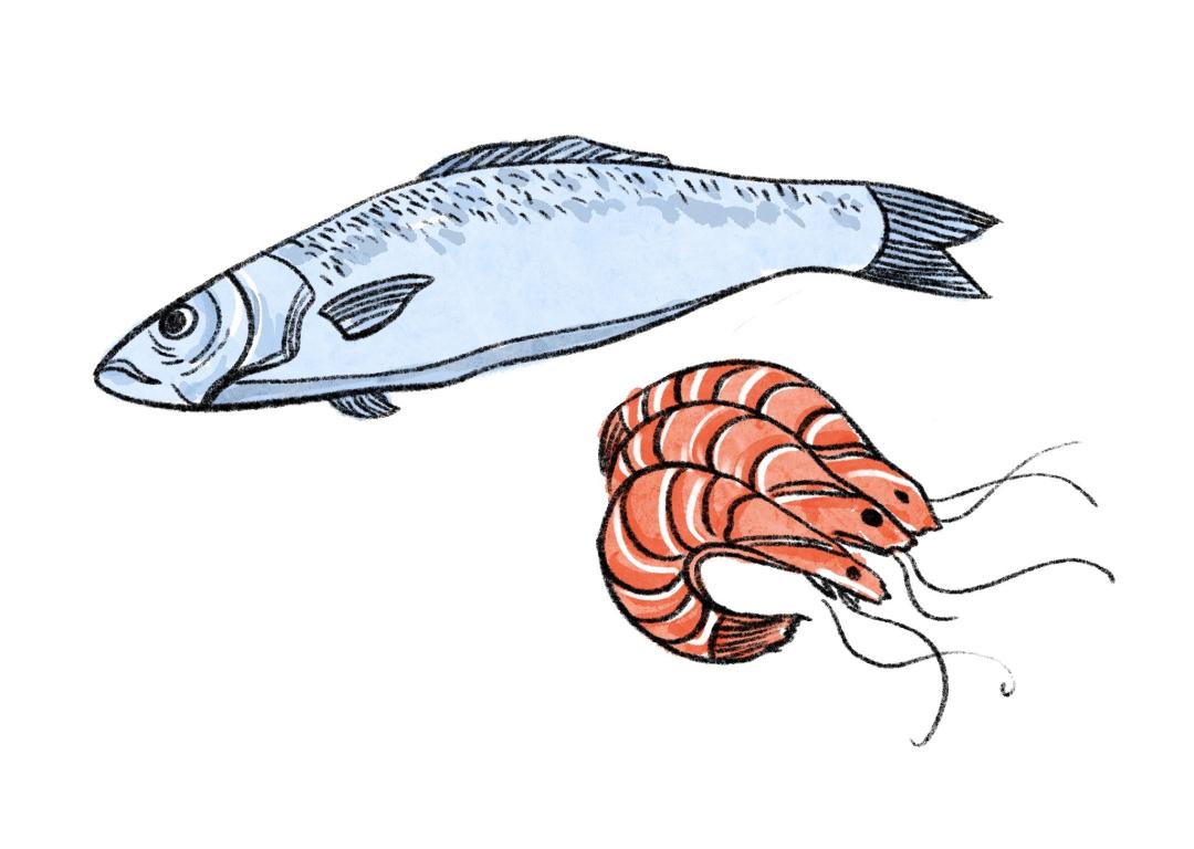 四高患者饮食食谱,四高人群饮食注意事项