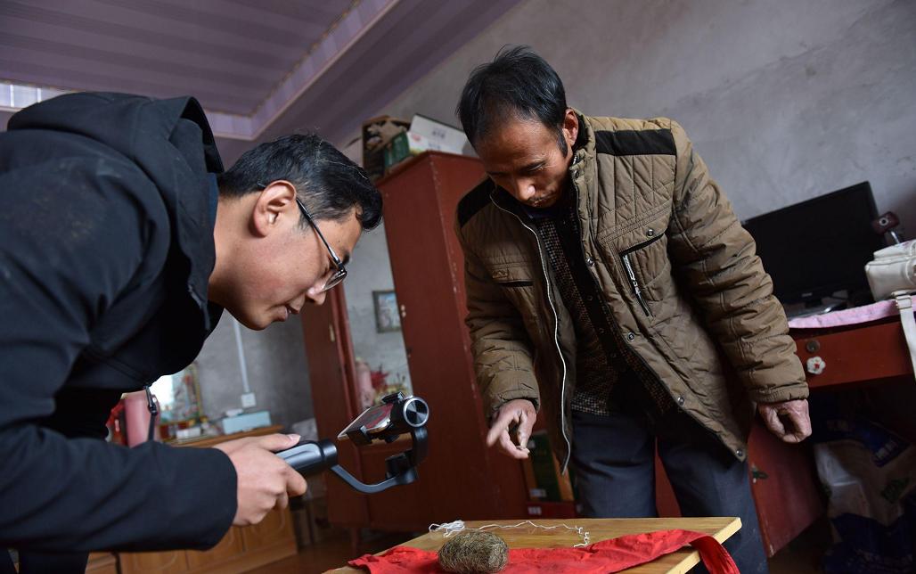 一农民杀猪时意外收获猪宝,农民杀猪得猪宝事件