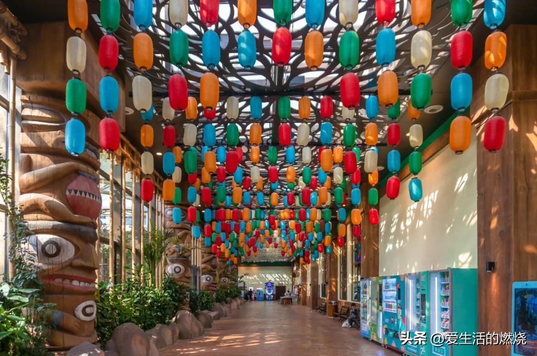 杭州森泊开元度假酒店不含门票,杭州开元森泊度假酒店存在的问题