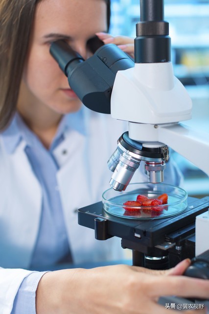 管理体系认证基础知识有哪几章,管理体系认证基础第三章