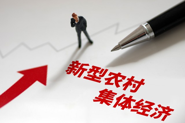 壮大村集体经济要发挥组织优势,壮大村集体经济促进共同富裕