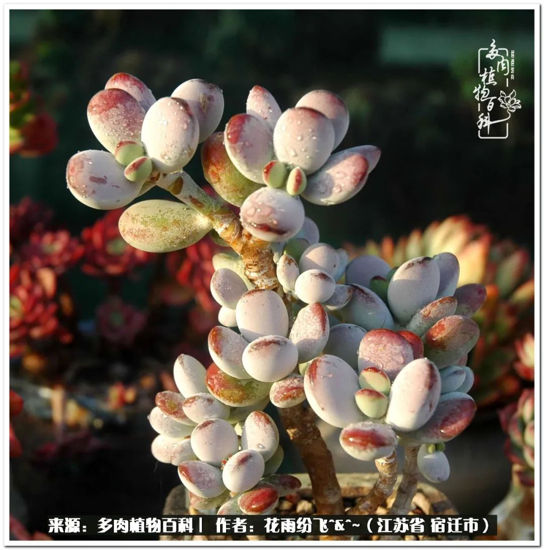 回味童年无忧无虑的快乐时光,童年最快乐的时光