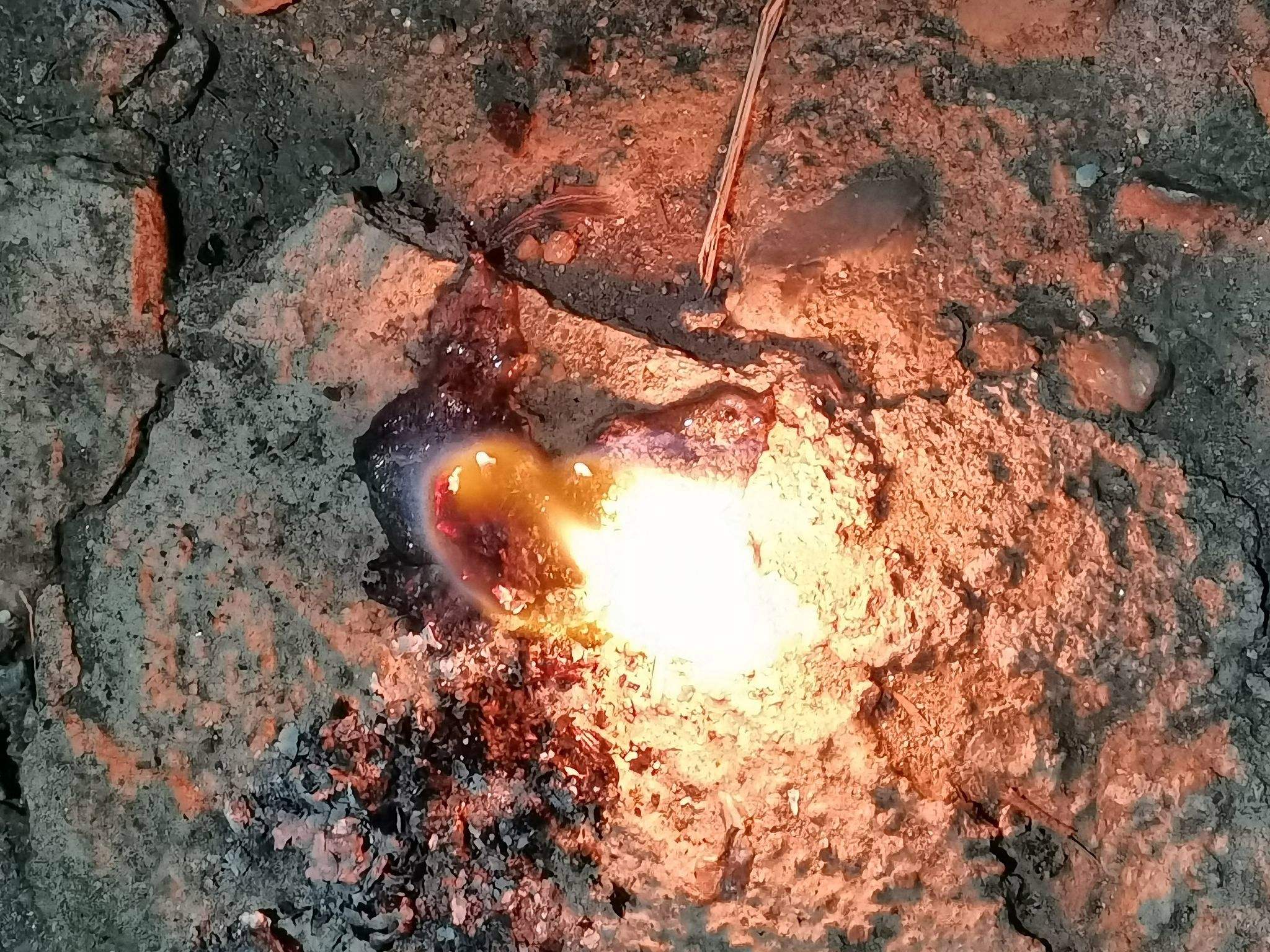 把蟑螂卵清除会减少蟑螂吗,酒精湿巾能否清除蟑螂卵