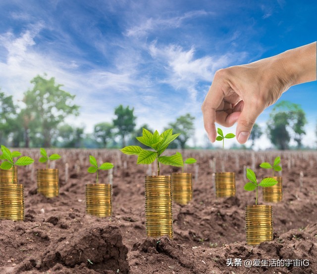 夹缝中求生存真的不容易,夹缝里求生存挣钱吗