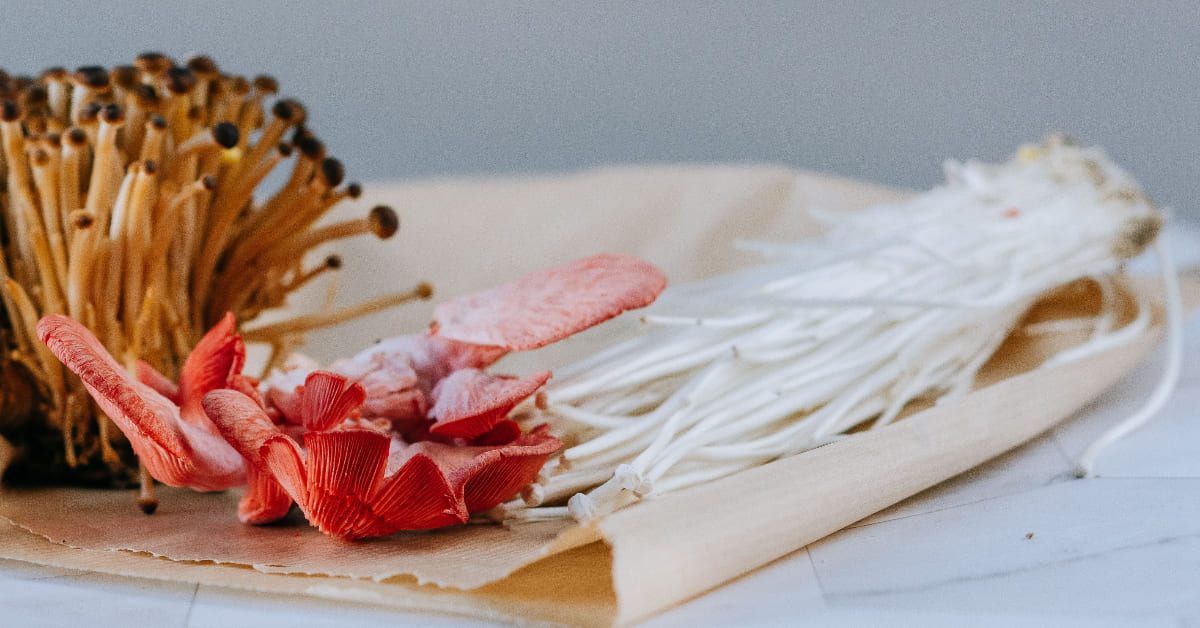 减肥低脂肪低热量的食物有哪些,减肥低热量食物排行榜