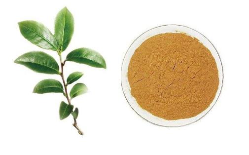 喝茶对心脏有好处还是坏处,茶叶和绿茶哪个对心脏好