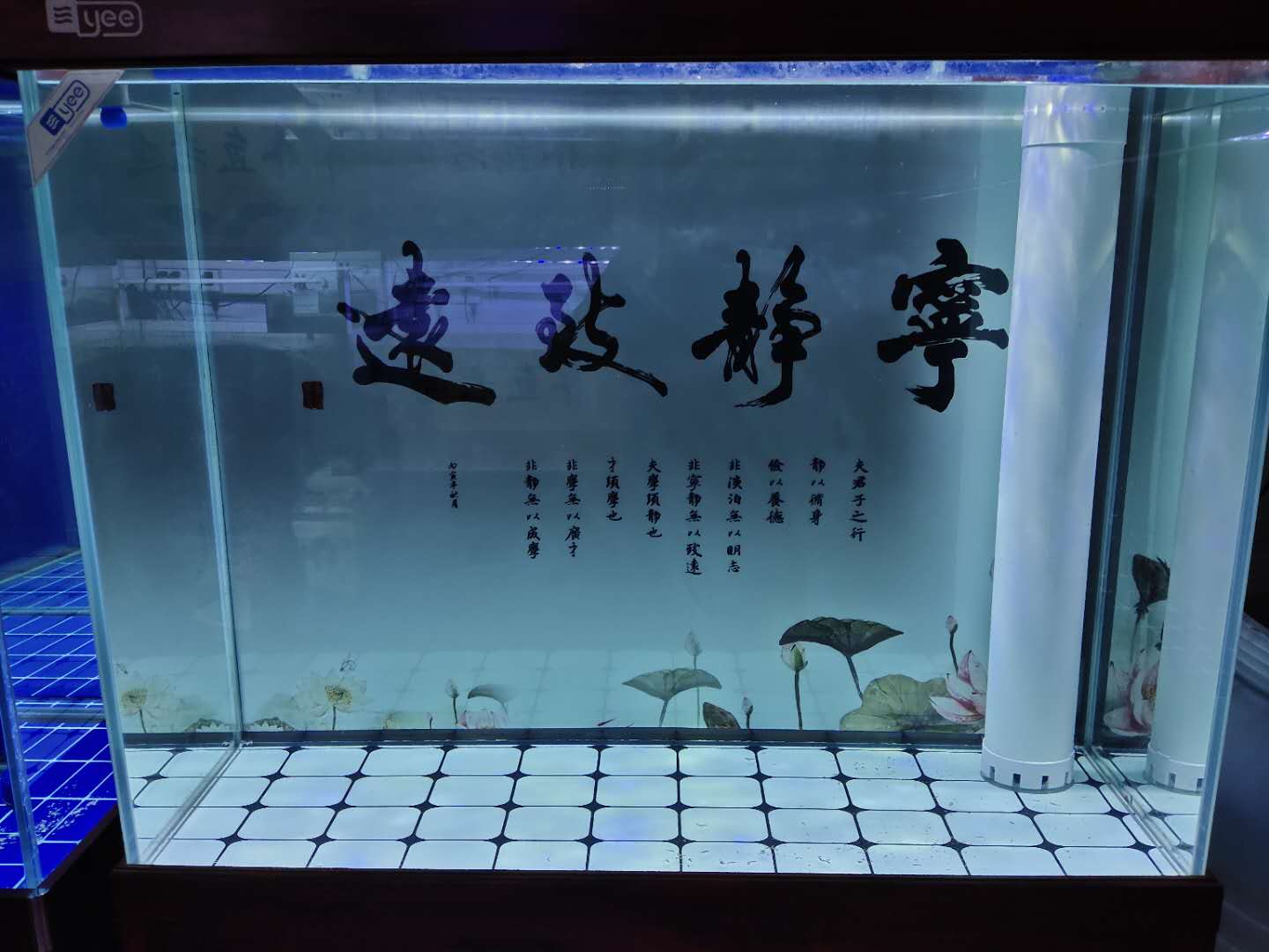 鱼缸清理换水用消毒过滤器材吗,鱼缸用水霉净消毒后马上要换水吗